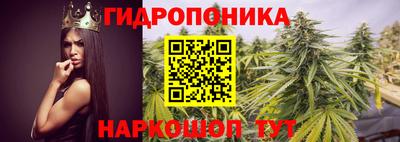 стафф Краснокаменск