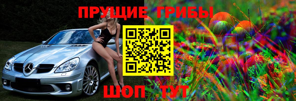 Югорск  Псилоцибиновые грибы Psilocybe  Вход с VPN 
